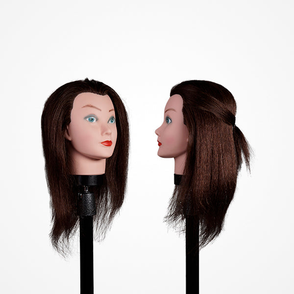 Cabeza-Maniquí Cabello Humano 14" Castaño 3B (30-35 Cm) Bifull(Soporte Incluido)
